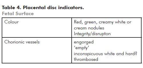 Table 4. Placental disc indicators.