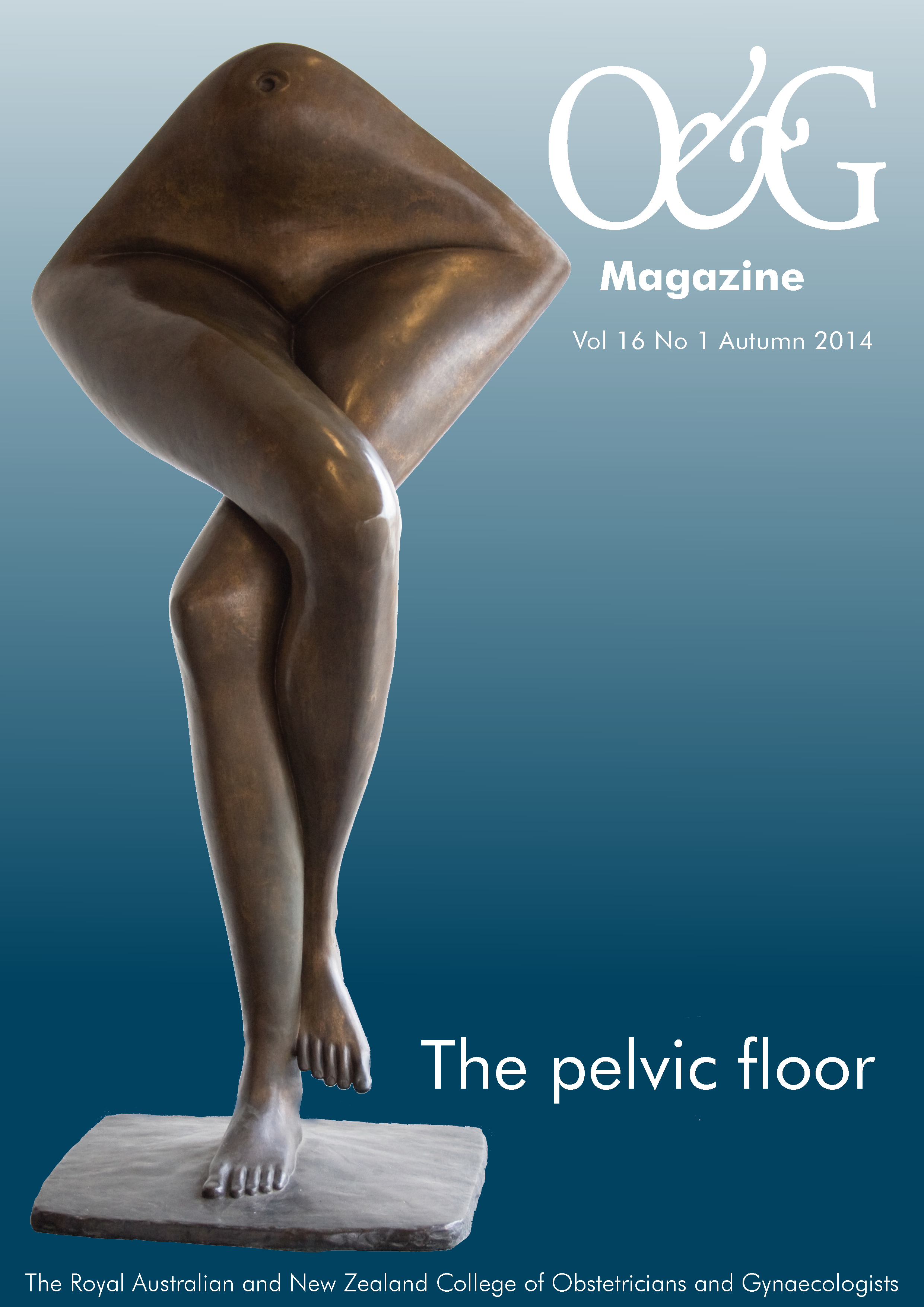 Pessaries Please O G Magazine