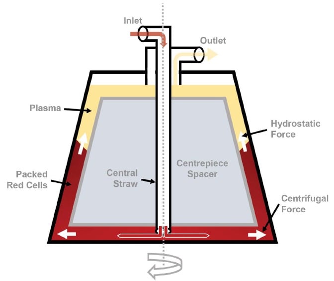 Cell salvage separation process