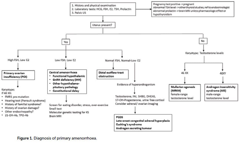 Primary amenorrhoea diagnosis
