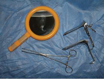 Prolapse assessment tools