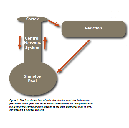 pelvic pain: four dimensions