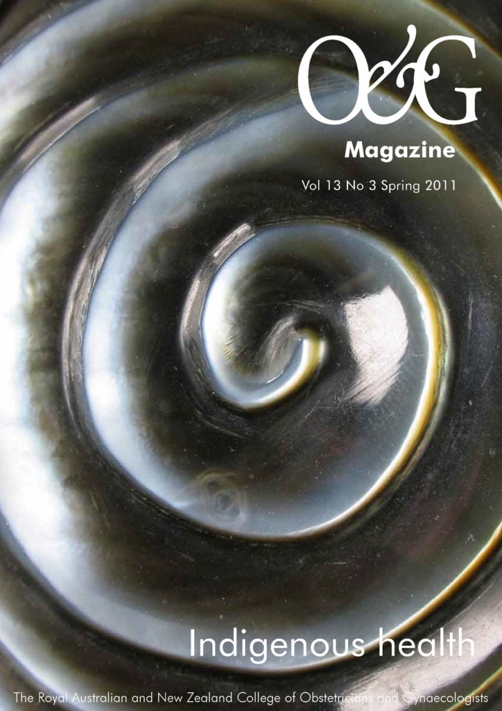 spring 2011 cover