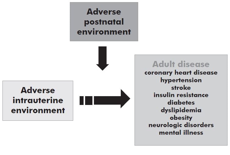 O&G Magazine Winter 2010 Gene-environment origins of disease