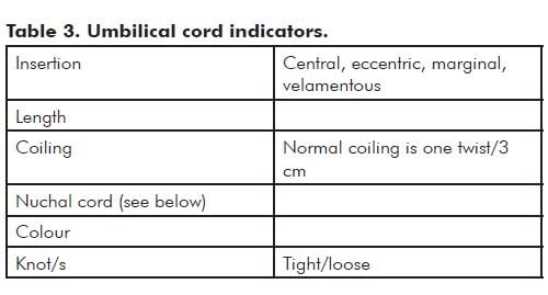 Table 3. Umbilical cord indicators. 