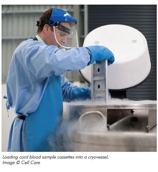 Loading cord blood sample cassettes into a cryovessel. Image © Cell Care