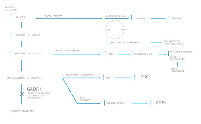 The pathways to cellular destruction.