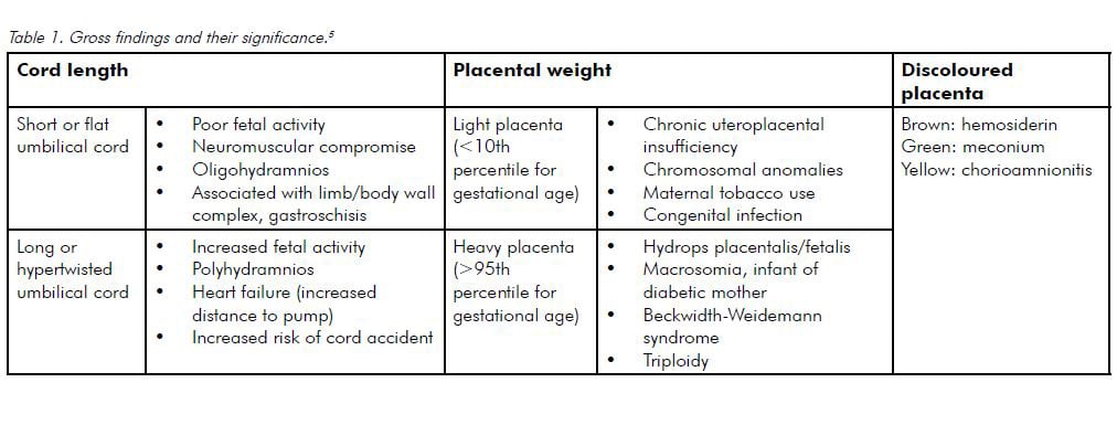 Table 1. Gross findings and their significance.5