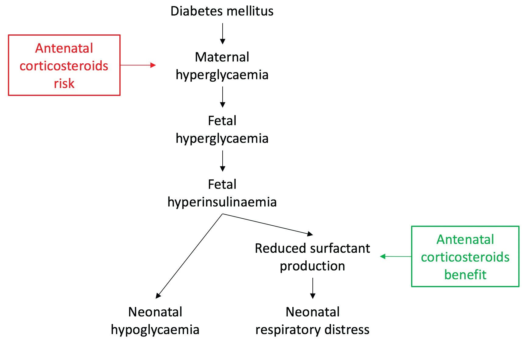 Figure 1. Mechanism of neonatal respiratory distress and hypoglycaemia in diabetes in pregnancy and the potential benefits and harms of antenatal corticosteroids.