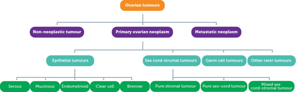 Summary of the classification of ovarian tumours.