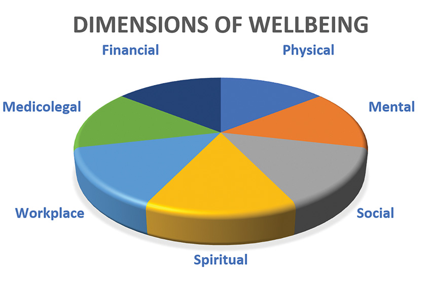 The seven dimensions of wellbeing commonly used for doctors.