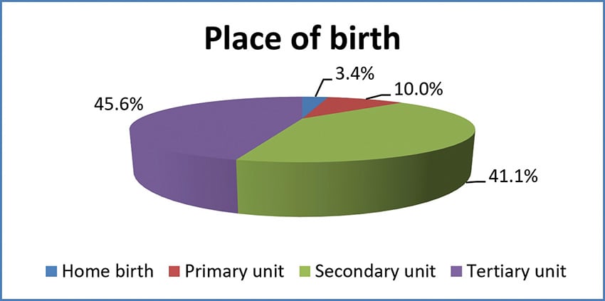 Figure 1. Place of labour and birth in New Zealand in 2017.