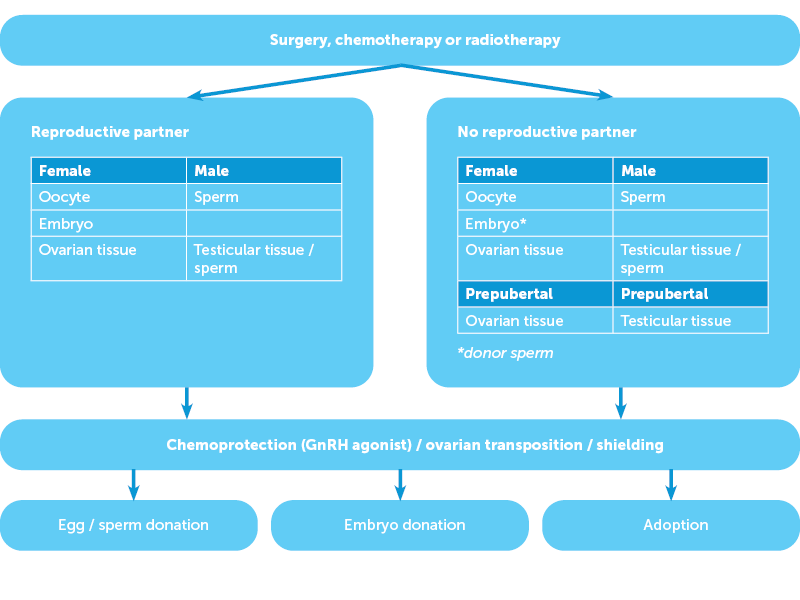 Figure 1. Patient communication aid