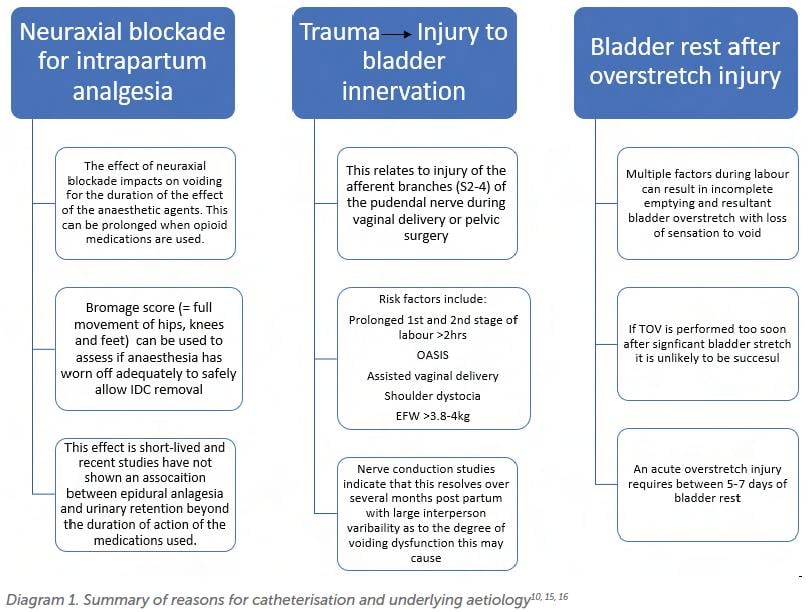 Q&A: How do I manage bladder issues in early postpartum? – O&G