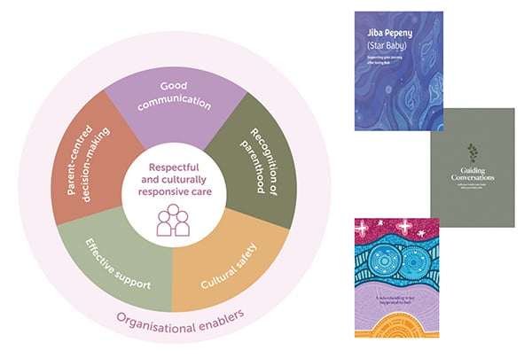 Stillbirth Framework