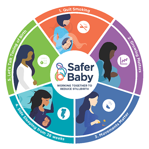 The five elements of the Safer Baby Bundle.